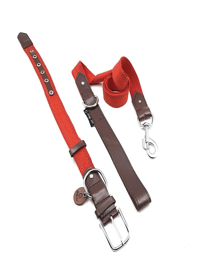 Goofy Tails X Design Chefz Eco-Luxe Collar and Leash Set | Dog Leash and Collar | Dog Collar for Small Dogs | Dog Collar for Puppies | Reflective Dog Collar Set (Small, Red) - Image 1